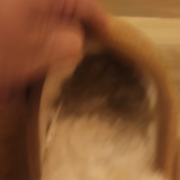 UGG Tan Suede Slippers with Cream Lining - Picture 9 of 15